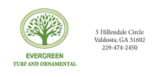 Avatar for Evergreen Turf and Ornamental
