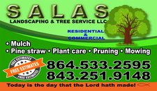 Avatar for Salas Landscape & Tree Service
