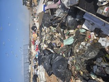 Avatar for Trashwise