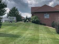 Pura Vida Lawn Care logo