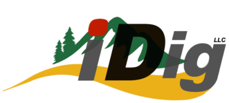 IDIG logo