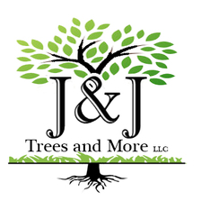 Avatar for J&J Trees and More, LLC