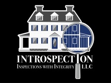 Introspection logo