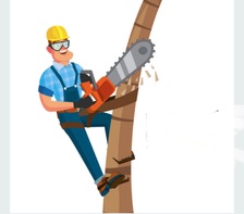 Avatar for Texas Tree and Lawn Services