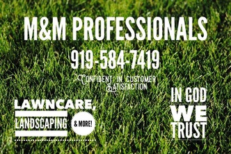 M&M Professionals logo