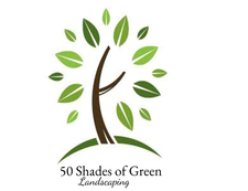 Avatar for 50 Shades Of Green