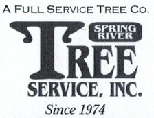 Avatar for Spring River Tree Service