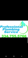 Professional Plumbing Service logo