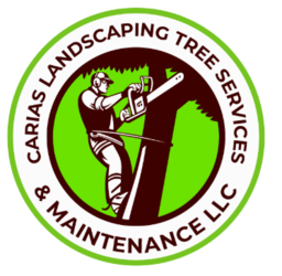 Carias Landscaping & Maintenance, LLC logo