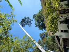 Avatar for Bori Tree & Lawn