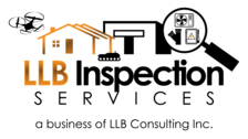 Logo for LLB Inspection Services
