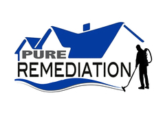 Avatar for Pure Remediation
