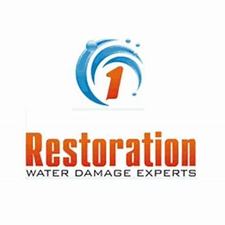 Long Island Restoration, LLC logo