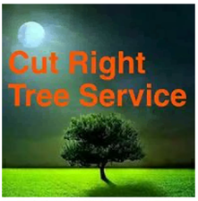 Logo for Cut Right Tree Service