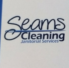 Avatar for Seams Cleaning