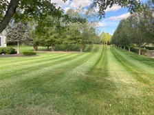 Avatar for M&B Lawn Care