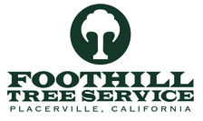 Avatar for Foothill Tree Service - Home Facebook