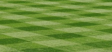 GC Lawn and Landscape logo