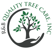 R&B Quality Tree Care logo