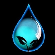 Avatar for Coastside Exterior Cleaning