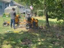 Avatar for Martinez Tree Service and Landscaping