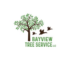 Bayview Tree Service logo
