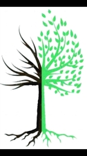 Avatar for Dead or Alive Tree Service