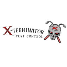 Avatar for X-Terminator Pest Control