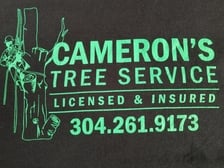 Avatar for Cameron's Tree Service - Inicio  Facebook