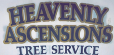 Avatar for Heavenly Ascensions