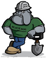 Avatar for AA Ceilings, LLC