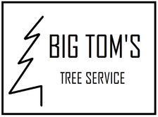 Logo for Big Tom's Tree and Landscaping Service, LLC