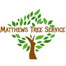 Avatar for Matthews Tree Service
