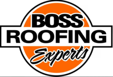 Avatar for BOSS ROOFING - SIDING EXPERTS INC