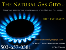 The Natural Gas Guys, LLC logo