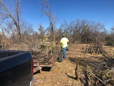 Avatar for B&R Family Mowing, Handyman and Tree Service