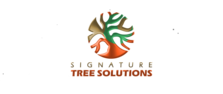 Signature Tree Solutions -   Facebook logo