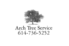 Logo for Arch Tree Service