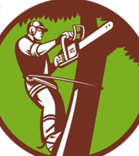 S&V Tree Service logo