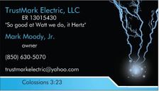 Trustmark Electric, LLC logo