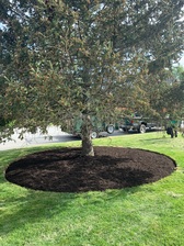Logo for Rojas Landscaping Company