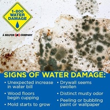 Avatar for 1800 Water Damage