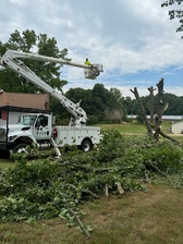 Logo for Ramirez Tree Services