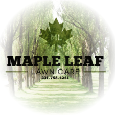 Avatar for Maple Leaf Lawn Care