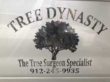 Avatar for HD tree cut