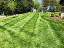 Avatar for Absolute Lawn and Landscape