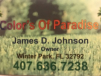 Colors Of Paradise logo