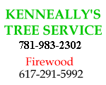 Kenneally's Tree Service, Inc. logo