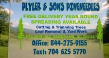 Avatar for Plyler and sons Pineneedles LLC