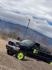 Logo for Tree Masters